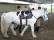 Ofertado gratuitamente à comunidade paranaense há 10 anos, o serviço de equoterapia do Regimento de Polícia Montada (RPMon) da Polícia Militar do Paraná já ajudou na recuperação de mais de 500 pessoas ao longo do tempo e é uma das principais atividades promovidas pela unidade. Os militares estaduais que atuam nessa área possuem cursos e capacitação técnica no tema, além dos equinos serem treinados e separados exclusivamente para esse trabalho.Foto: Divulgação PMPR