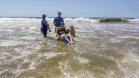 Acessibilidade: ampliado programa para auxiliar cadeirantes e pessoas com baixa mobilidade no banho de mar.Cadeiras anfíbias: banho de mar com segurança e dignidade.Curitiba, 07/02/2017.Foto: Divulgação Sanepar