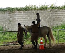 Ofertado gratuitamente à comunidade paranaense há 10 anos, o serviço de equoterapia do Regimento de Polícia Montada (RPMon) da Polícia Militar do Paraná já ajudou na recuperação de mais de 500 pessoas ao longo do tempo e é uma das principais atividades promovidas pela unidade. Os militares estaduais que atuam nessa área possuem cursos e capacitação técnica no tema, além dos equinos serem treinados e separados exclusivamente para esse trabalho.Foto: Divulgação PMPR