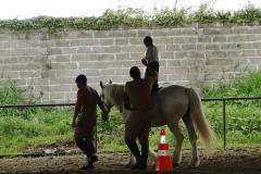 Ofertado gratuitamente à comunidade paranaense há 10 anos, o serviço de equoterapia do Regimento de Polícia Montada (RPMon) da Polícia Militar do Paraná já ajudou na recuperação de mais de 500 pessoas ao longo do tempo e é uma das principais atividades promovidas pela unidade. Os militares estaduais que atuam nessa área possuem cursos e capacitação técnica no tema, além dos equinos serem treinados e separados exclusivamente para esse trabalho.Foto: Divulgação PMPR