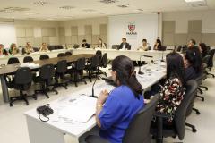 Plenária do Conselho Estadual dos Direitos da Pessoa com Deficiência – COEDE/PR - Fotos: Aliocha Mauricio/SEDS