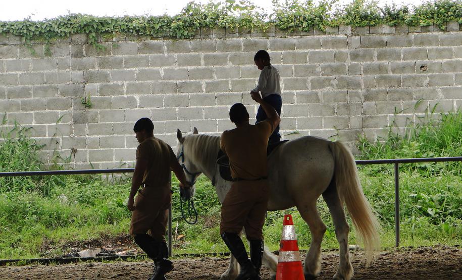Ofertado gratuitamente à comunidade paranaense há 10 anos, o serviço de equoterapia do Regimento de Polícia Montada (RPMon) da Polícia Militar do Paraná já ajudou na recuperação de mais de 500 pessoas ao longo do tempo e é uma das principais atividades promovidas pela unidade. Os militares estaduais que atuam nessa área possuem cursos e capacitação técnica no tema, além dos equinos serem treinados e separados exclusivamente para esse trabalho.Foto: Divulgação PMPR