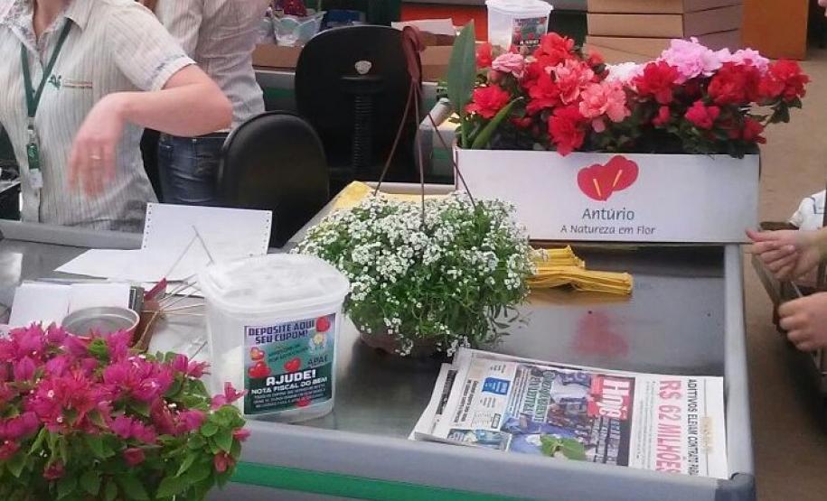 Os créditos e sorteios do programa Nota Paraná, do Governo do Estado, vão ajudar a melhorar o atendimento dos 450 alunos da Associação de Pais e Amigos de Excepcionais (Apae) de Cascavel, no Oeste do Paraná.Foto: Divulgação